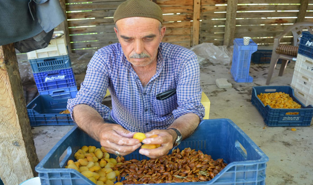 Malatya'da 'patik' mesaisi!..