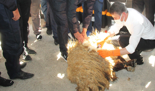 Malatya Valisi Aydın Baruş hünerini konuşturdu!