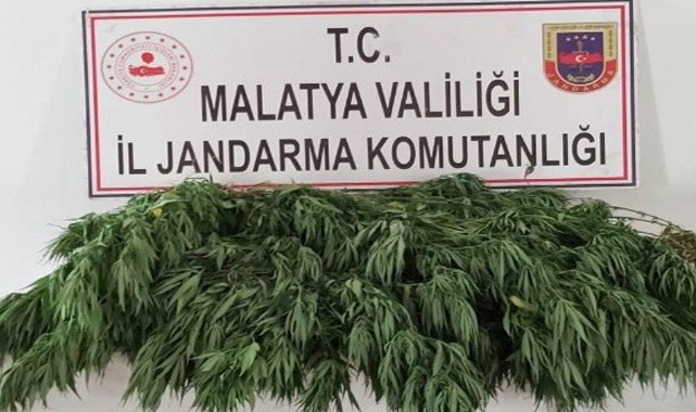 Son zamanların modası jandarmanın takibinde!