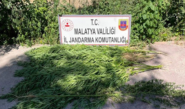 Zehir taciri kıskıvrak! 