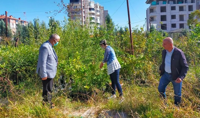 Fidanlara satış yasağı getirildi