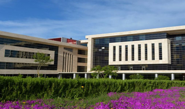 Hatay Mustafa Kemal Üniversitesi Öğretim Üyesi alıyor