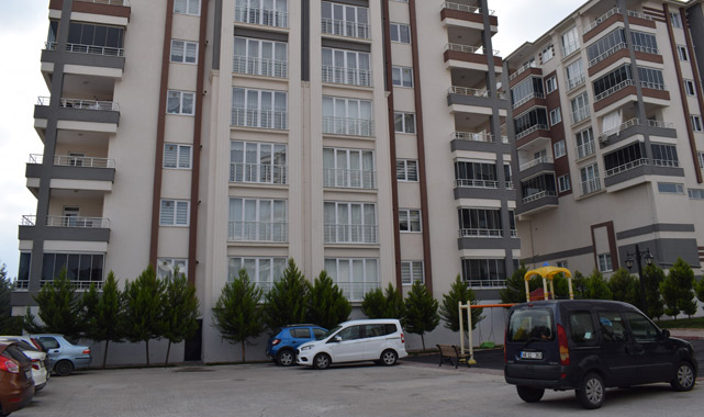 Malatya'da domuz paniği!
