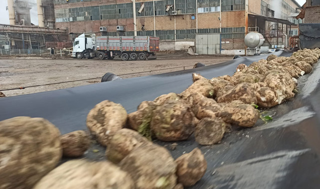 Malatya Şeker Fabrikası’nda çarklar aralıksız dönüyor