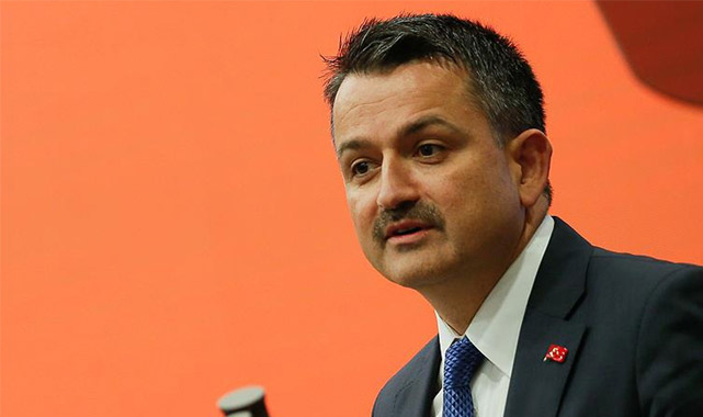 Türkiye'nin gıda stokları yeterli mi?