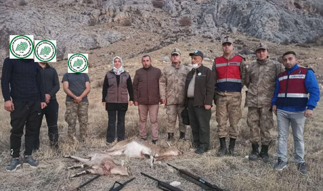 Yaban keçisi avlayanlara pişman eden ceza!