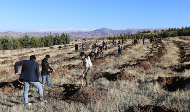 Öğrenciler 300 fidanı toprakla buluşturdu