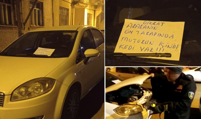Aracı çalıştırmadan önce kaputa vur!