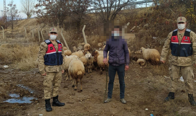 Eksi 4 derecede 11 saat boyunca aradılar