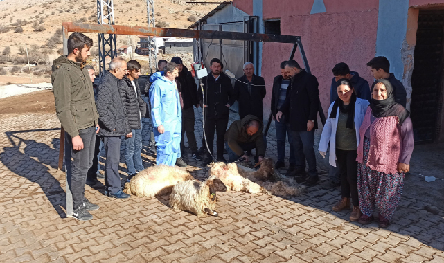 Malatyalı yetiştiriciler eğitimde!