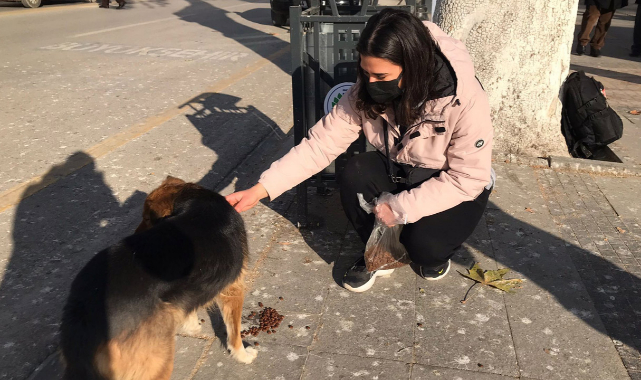 Meryem, sessiz dostlarını eliyle besliyor!