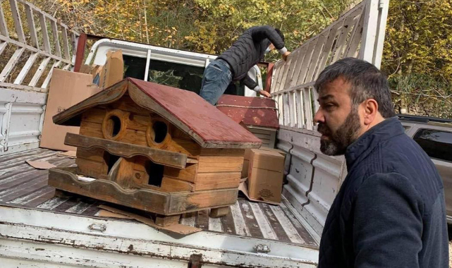 Sokak kedileri koruma altında