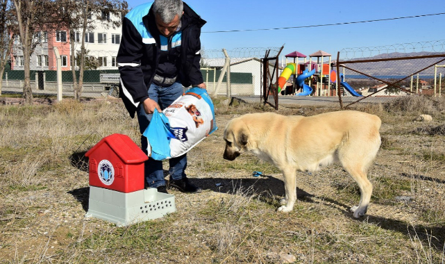 Güder: Gözünüz arkada kalmasın!