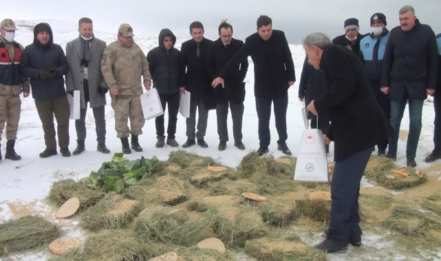 Kar yağışında can dostlar unutulmadı!