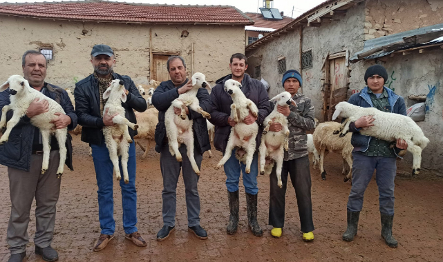 Malatya'daki ağıllarda kuzu sesleri yankılanıyor!