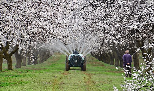 Hayırlı, fotoğraf yarışmasında üçüncülük ödülü kazandı