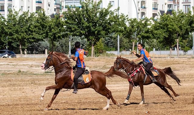 Kayısı festivaline özel müsabaka!..