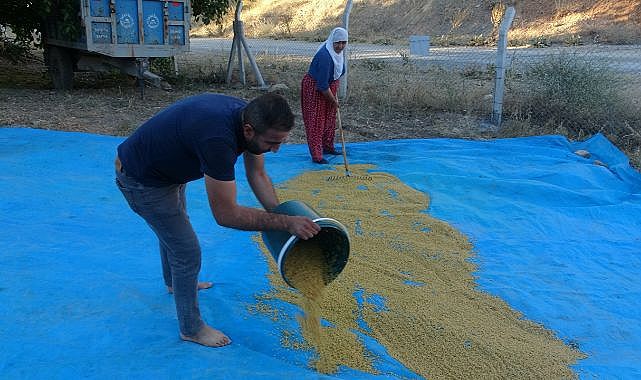 Malatya'da 'hedik' zamanı