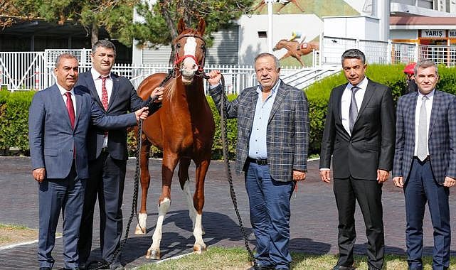 'Akatahan' ve 'Ahen' rekor fiyata alıcı buldu