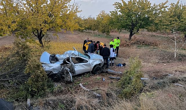Otomobil kayısı bahçesine uçtu!
