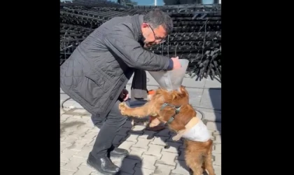 Ağbaba, depremden etkilenen Çiko'yu sahiplendi!