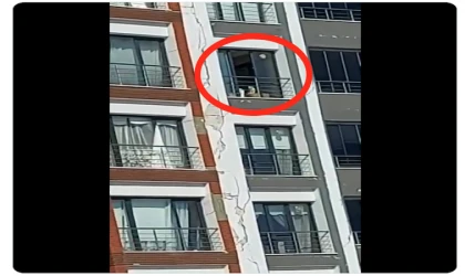 Günlerdir, aç-susuz kurtarılmayı bekliyor