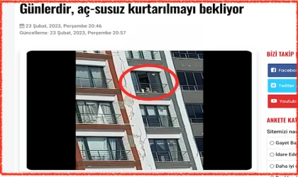 O kedi, kurtarıldı!..