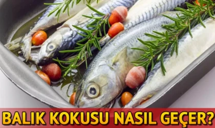 Balık ziyafetinden sonra kokusundan rahatsız olanlar için açıklandı: Balık kokusu nasıl çıkar?