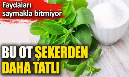 Bu otun faydaları saymakla bitmiyor! Egzama, yüksek tansiyon, kabızlık, depresyon, fazla kilo ve sigara... Her derde deva bitki!