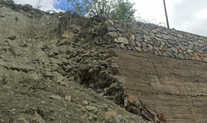 Karayolunda korkutan görüntü