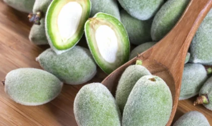 Çağla meyvesi nedir? Çağla meyvesinin yaraları nelerdir? Çağla meyvesi nasıl tüketilir?