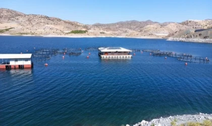 Malatya’da deniz ya da göl var mı? Malatya’da denize kıyı olan illeri var mıdır?
