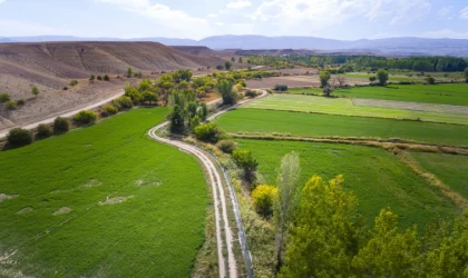 Malatya’da tarım! Malatya’da tarım ürünleri nelerdir? Malatya’da neler yetişir?