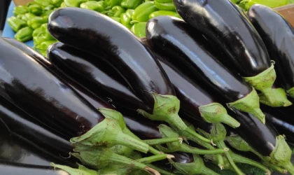 22 yıllık aşçı “sakın çiğ tüketmeyin” diyerek uyardı! Patlıcanı yaparken zehir saçan o kritik detay…