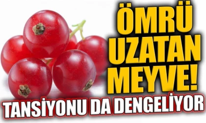 Canan Karatay yıllardır tüketiyor! O meyve günlük Omega 3 ihtiyacının tamamını karşılıyor!