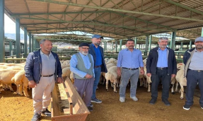 Kurbanlık almak için arefeyi bekliyorlar!..