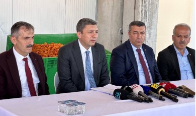 Malatya kayısısında tahmini rekolte 77 bin 170 ton!..