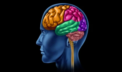 Meditasyonun Beyin Sağlığı Üzerindeki Şaşırtıcı Etkileri