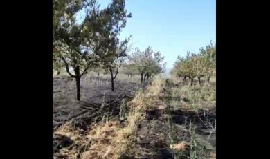Onca yıllık emek küle döndü! Önce deprem şimdi de yangın vurdu...