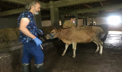 Zonguldak'ta 136 köye karantina! Endişe büyük...