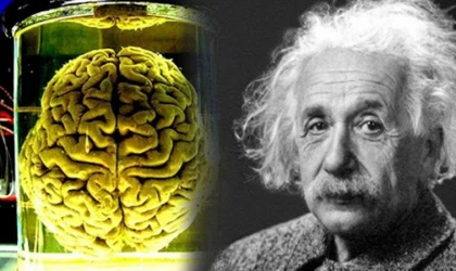Bilim İnsanları Tarafından Kokuların Hafızayı Artırma Etkisi Kesinleşti! Kokla ve Einstein Ol!