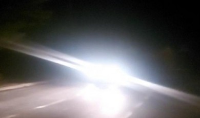 Deprem, sokak hayvanlarını da tedirgin etti!