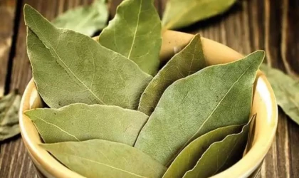 Eklem ve Kas Ağrılarını Hafifleten İltihabı Yok Eden Doğal Çay! Şifa kaynağı...