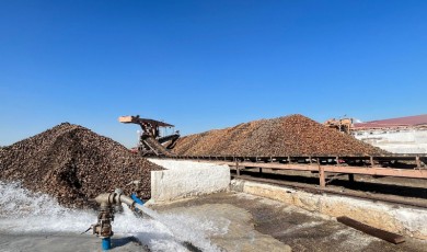 Malatya'da şeker pancarı alım kampanyası başladı! Hedef 60 bin ton şeker