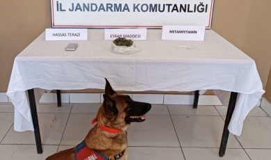 Malatya'da uyuşturucu operasyonlarında 21 kişi gözaltına alındı
