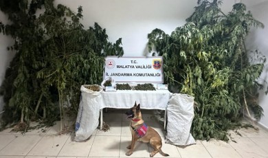Malatya'da zehir tacirlerine geçit verilmedi! 2 zanlı tutuklandı