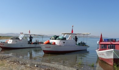 Denizlerde balık azalınca barajlarda balıkçılık faaliyetleri arttı