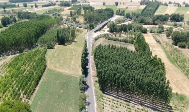 Malatya’da depremin hasar verdiği yollar yenileniyor!