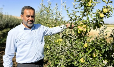 Malatya'da fiyatlarda da deprem oluyor: Tarlada 5 lira olan meyvenin fiyatı markette 30 lira