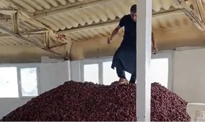 O üreticinin cezası belli oldu!..